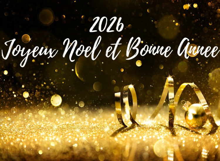 Whatsapp Photos Bonne annee Joyeux noel