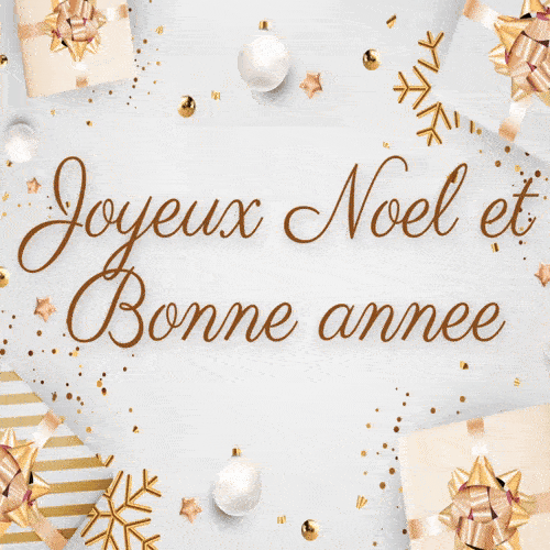 Noel bonne annee 2026 GIF Humour