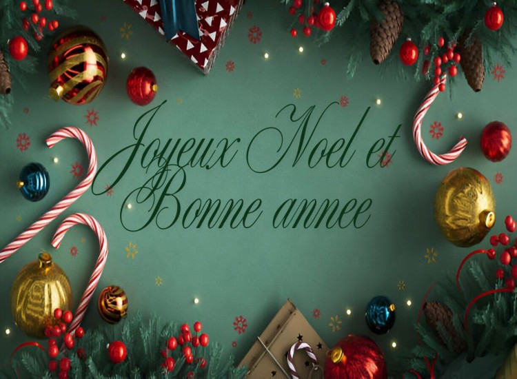 Bonne annee Humour 2026 Whatsapp Joyeux noel