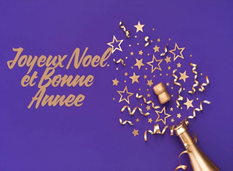 Bonne annee 2026 Humour Voeux Image