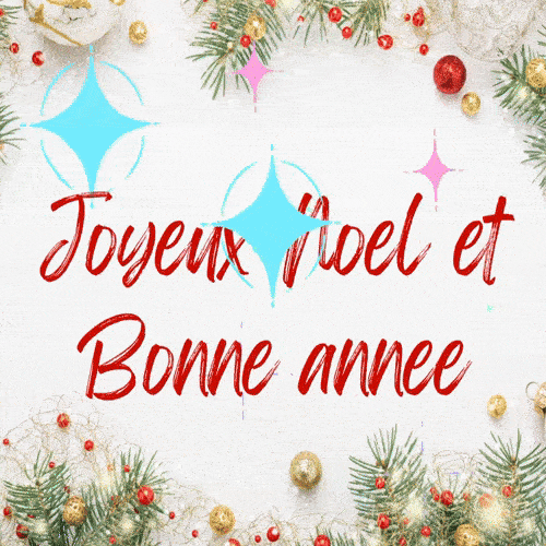 Bonne annee 2026 GIF Humour